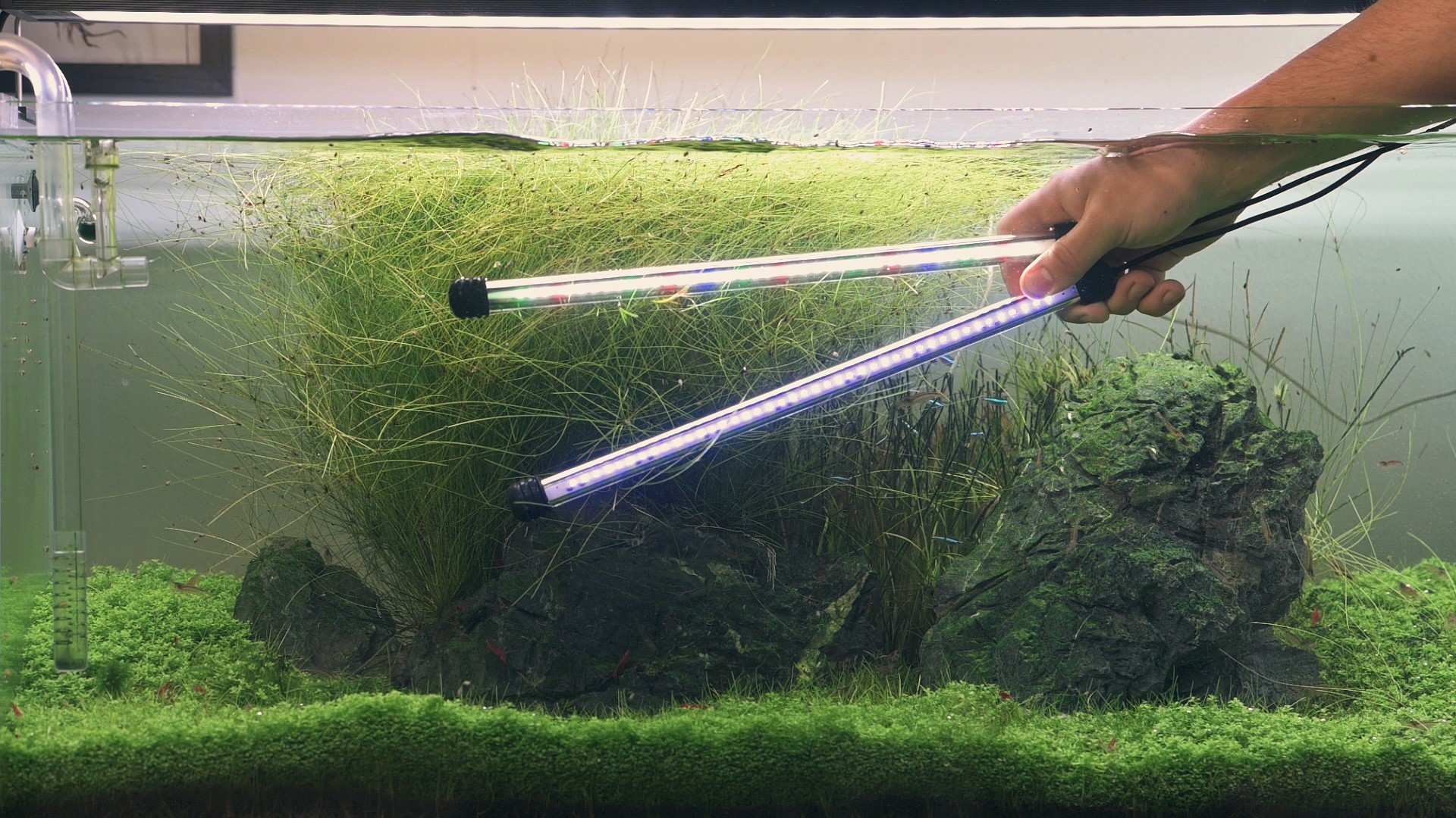 2 kusy INVITAL AquaSpectrum LED 13,2W 58,5cm - Obrázek 6